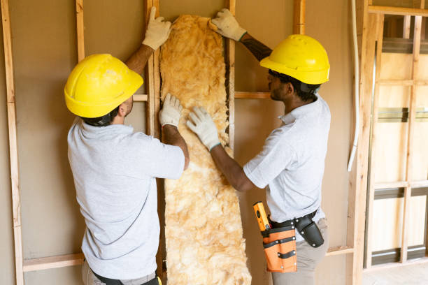 Best Wall Insulation Contractor  in Lake Andes, SD